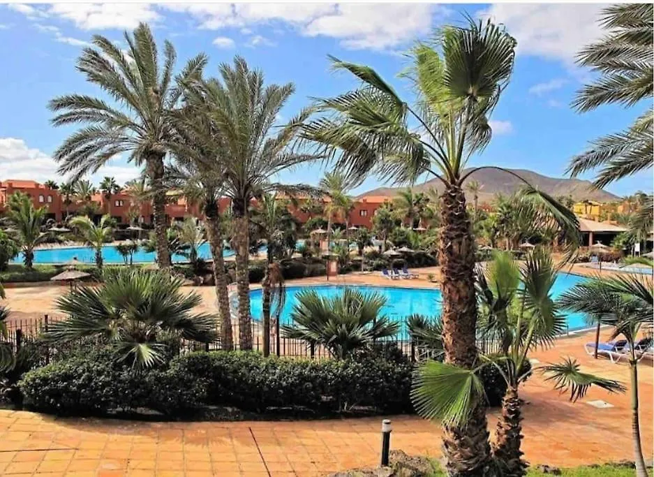 B-Rent Tamarindo Amazing Sea View Lejlighed Corralejo Spanien