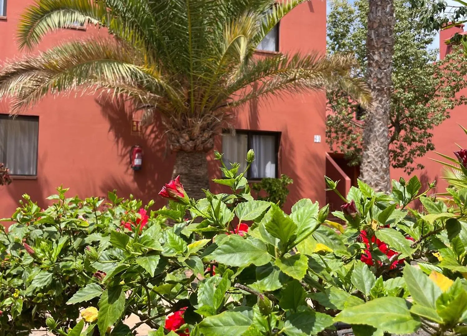 B-Rent Tamarindo Amazing Sea View Lejlighed Corralejo