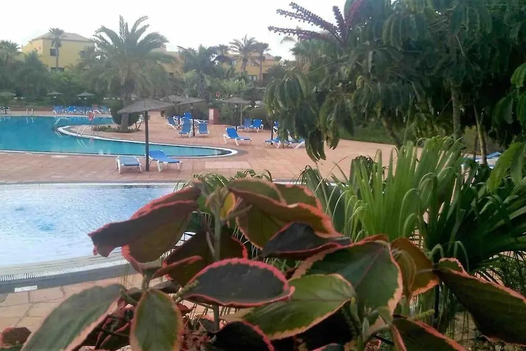 B-Rent Tamarindo Amazing Sea View Daire Corralejo